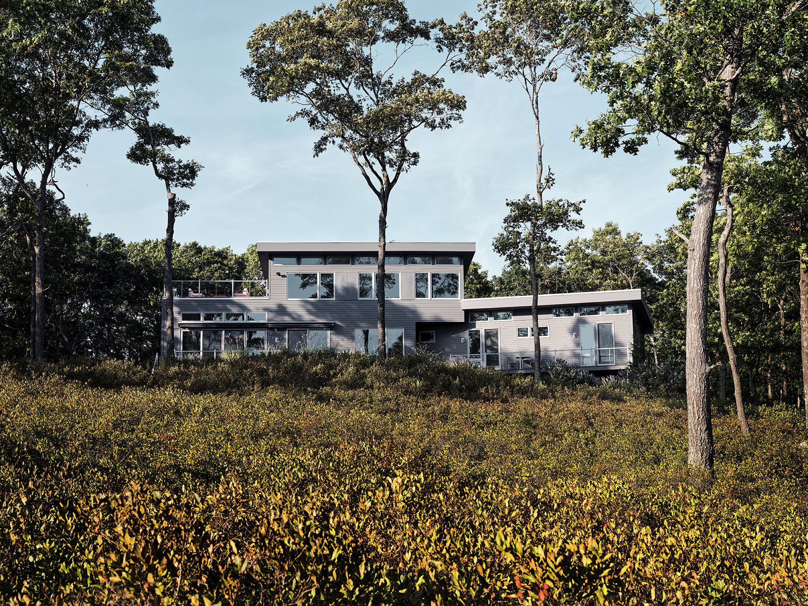 exterior of house Ocean View House, Charlestown Rhode Island, Sarah Jefferys Architecture + Design at golden hour