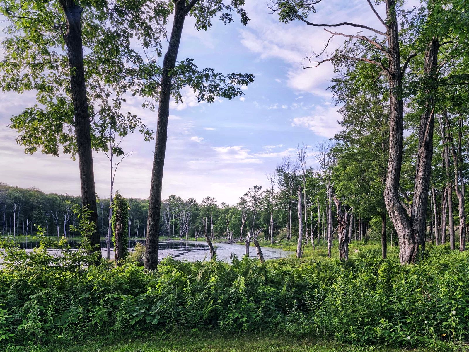 Warren Connecticut landscape shot