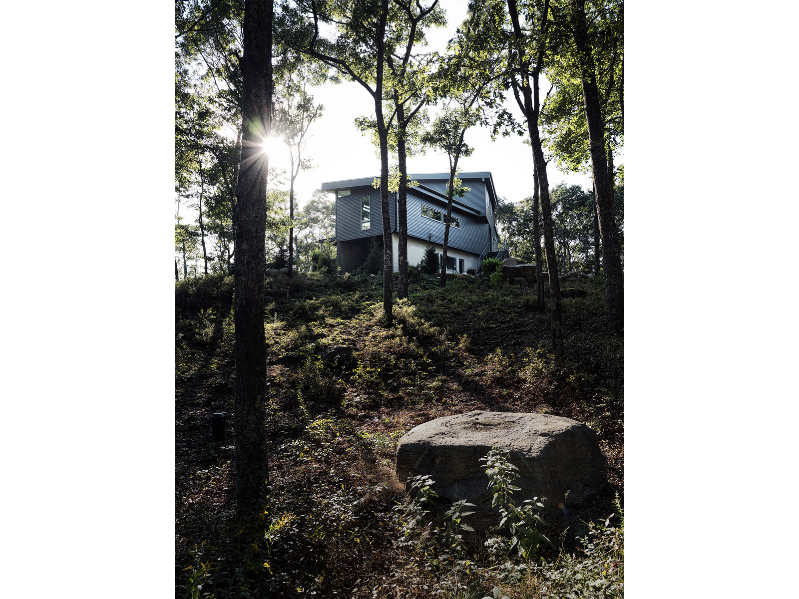 view of house from bottom of hill Ocean View House, Charlestown Rhode Island, Sarah Jefferys Architecture + Design